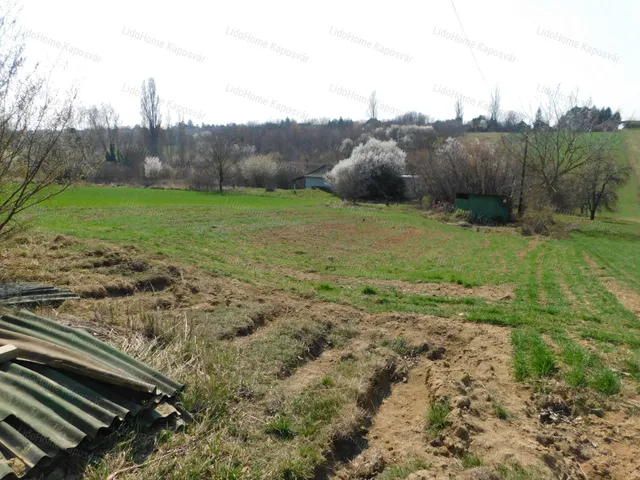 Eladó mezőgazdasági ingatlan Igal 802 nm
