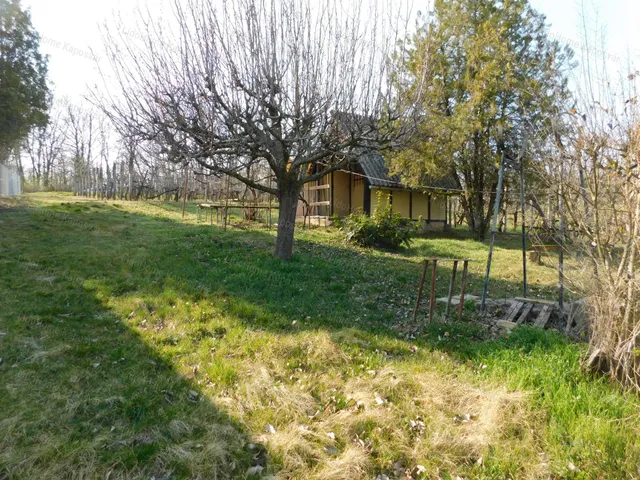 Eladó mezőgazdasági ingatlan Igal 15 nm