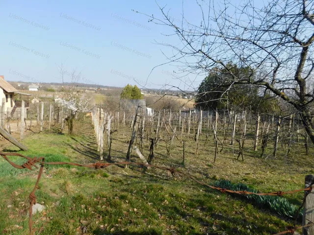 Eladó mezőgazdasági ingatlan Igal 15 nm