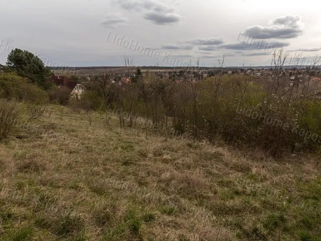 Eladó mezőgazdasági ingatlan Kaposvár 902 nm