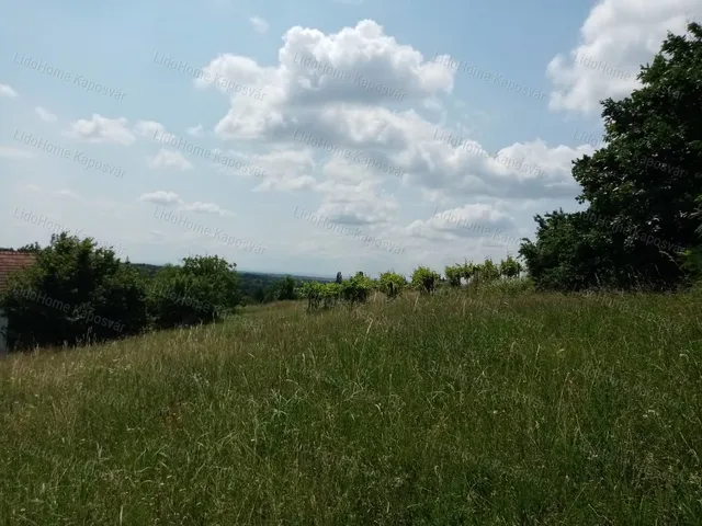 Eladó mezőgazdasági ingatlan Igal 839 nm