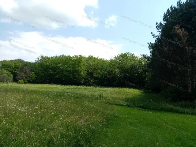Eladó mezőgazdasági ingatlan Igal 1209 nm