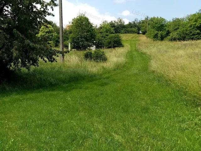 Eladó mezőgazdasági ingatlan Igal 839 nm