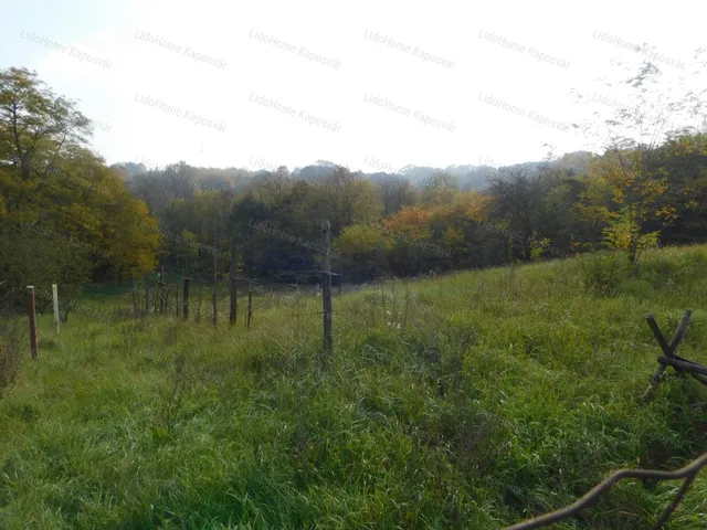 Eladó mezőgazdasági ingatlan Kaposvár, Donner 2700 nm