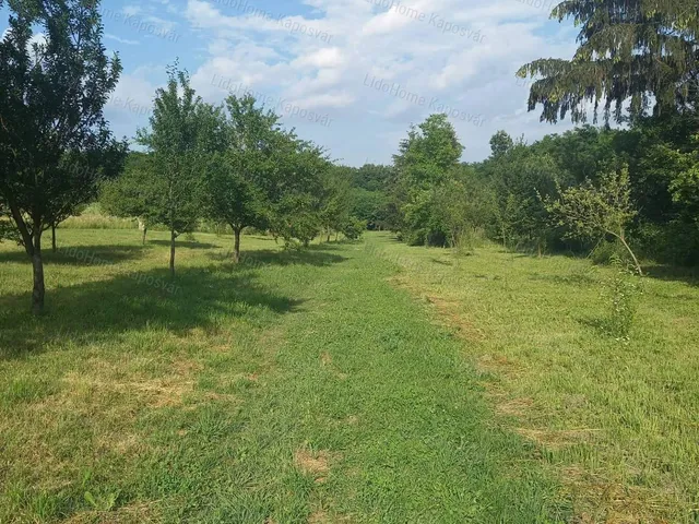 Eladó mezőgazdasági ingatlan Kaposvár 6124 nm