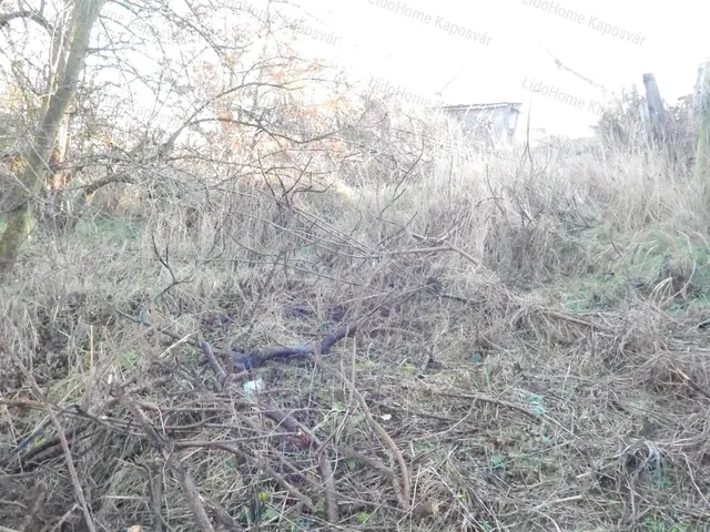 Eladó mezőgazdasági ingatlan Kaposvár 632 nm