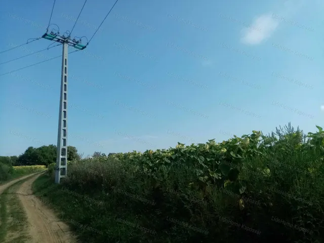 Eladó mezőgazdasági ingatlan Igal 8499 nm
