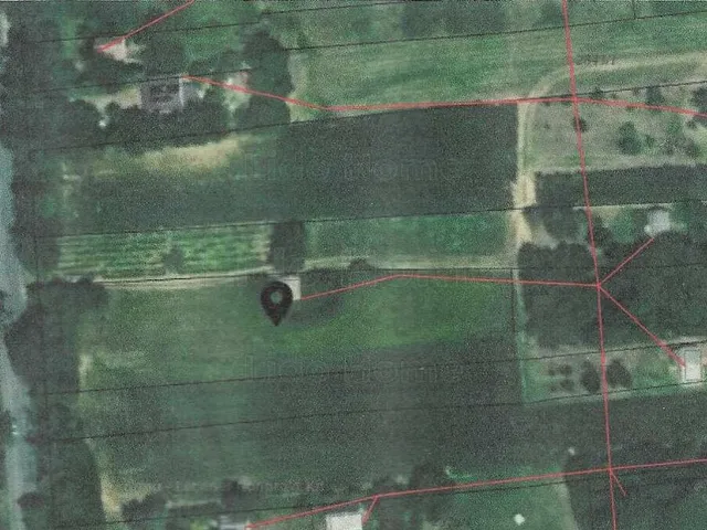 Eladó mezőgazdasági ingatlan Igal 20 nm