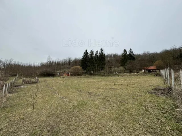 Eladó mezőgazdasági ingatlan Bárdudvarnok 60 nm