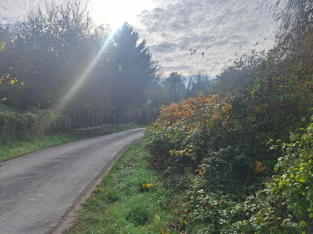 Eladó mezőgazdasági ingatlan Kaposvár 1000 nm