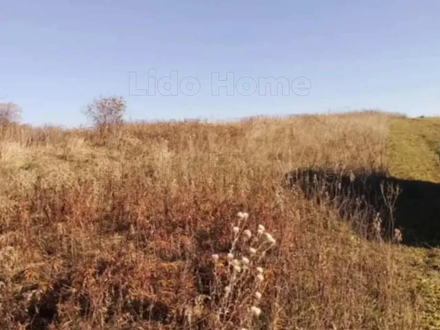 Eladó mezőgazdasági ingatlan Igal 3418 nm