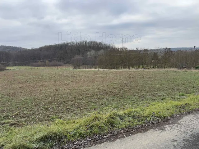 Eladó mezőgazdasági ingatlan Kaposvár 1878 nm