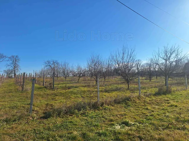 Eladó telek Szakcs 5786 nm