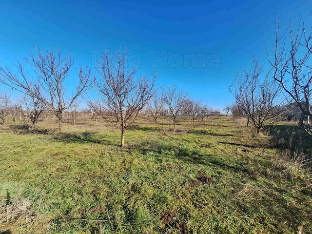 Eladó telek Szakcs 5786 nm