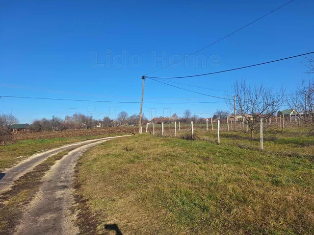 Eladó telek Szakcs 1294 nm