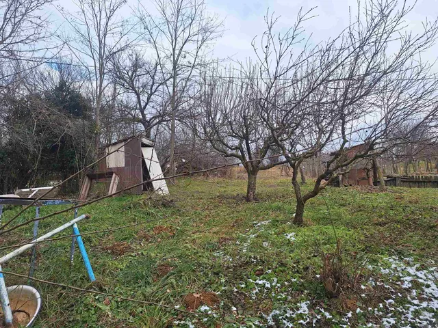 Eladó mezőgazdasági ingatlan Igal 20 nm