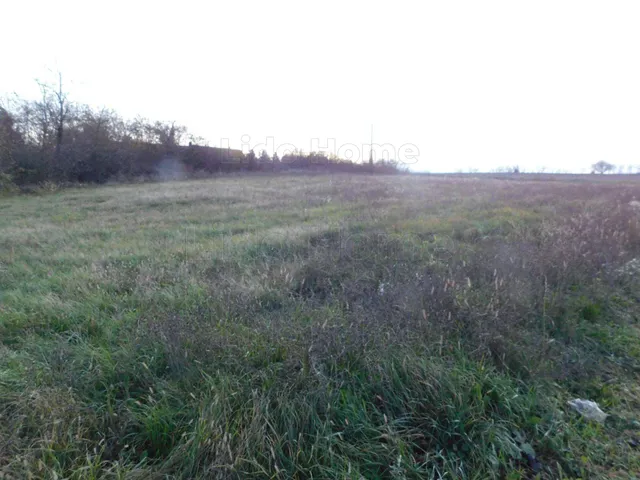 Eladó mezőgazdasági ingatlan Bárdudvarnok 3043 nm