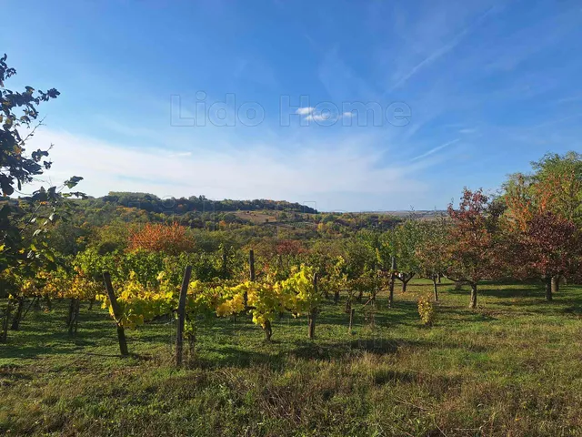 Eladó mezőgazdasági ingatlan Tab 702 nm