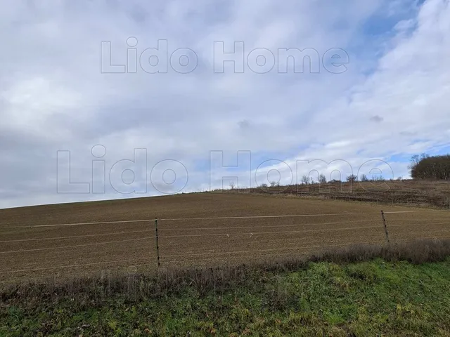 Eladó mezőgazdasági ingatlan Kaposgyarmat 23800 nm