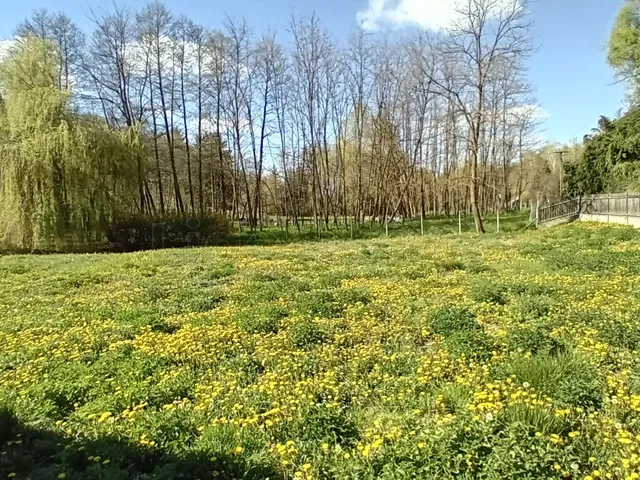 Eladó ház Kaposvár, Ivánfahegy 110 nm