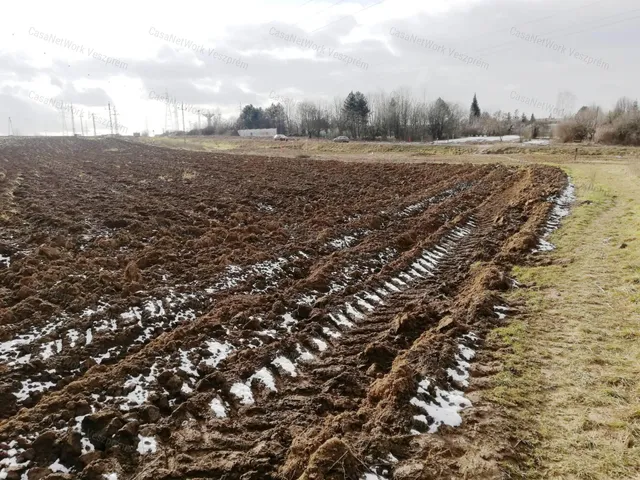 Eladó mezőgazdasági ingatlan Veszprém 1533 nm