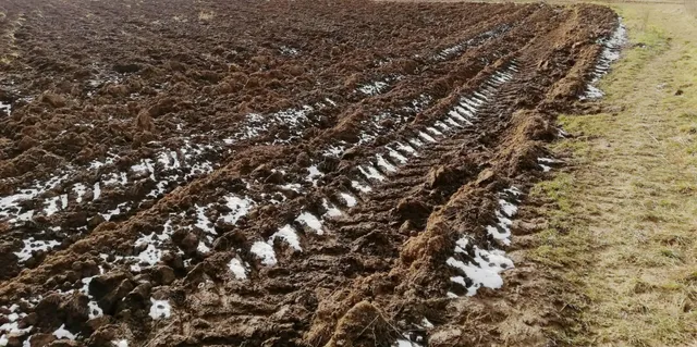 Eladó mezőgazdasági ingatlan Szentgál 11756 nm