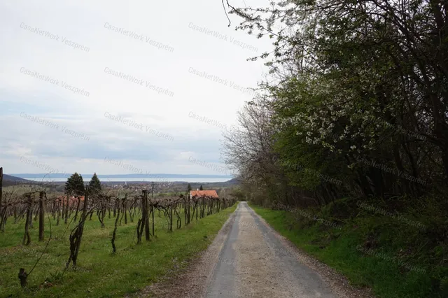 Eladó mezőgazdasági ingatlan Balatoncsicsó 10017 nm