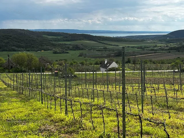 Eladó mezőgazdasági ingatlan Óbudavár 5107 nm