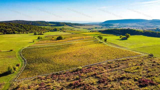 Eladó mezőgazdasági ingatlan Óbudavár 23000 nm