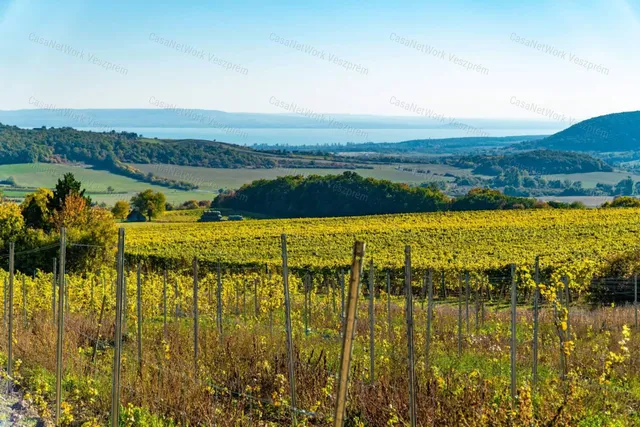 Eladó mezőgazdasági ingatlan Óbudavár 23000 nm