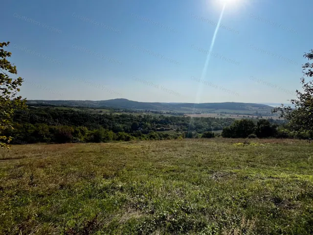 Eladó mezőgazdasági ingatlan Balatoncsicsó 7819 nm