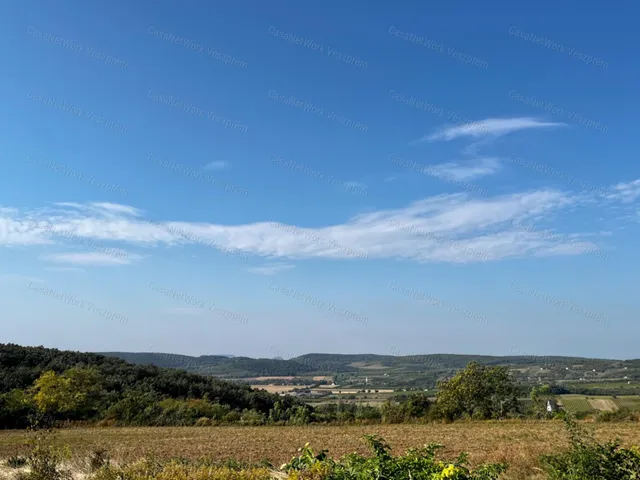 Eladó mezőgazdasági ingatlan Mencshely 2500 nm