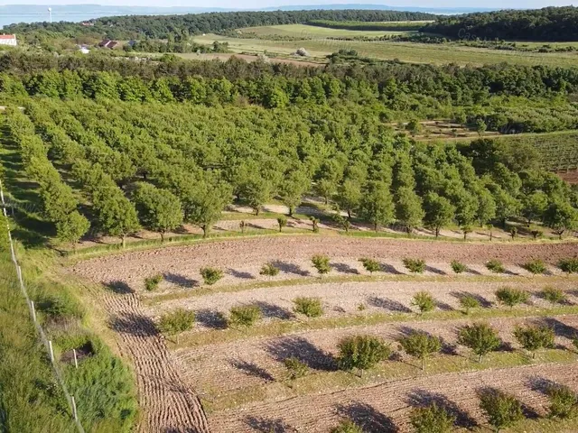 Eladó mezőgazdasági ingatlan Zánka 45000 nm