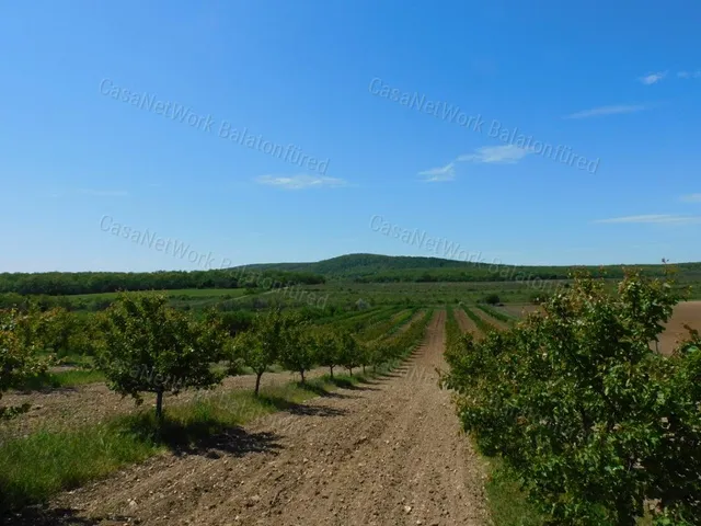 Eladó mezőgazdasági ingatlan Zánka 45000 nm