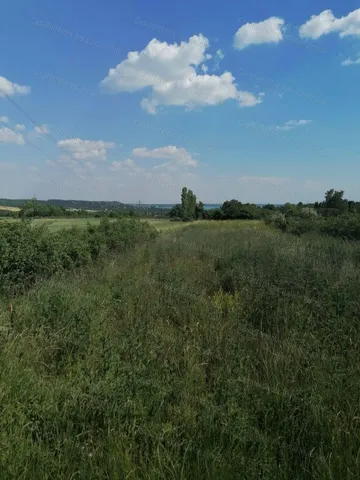 Eladó mezőgazdasági ingatlan Balatonkenese 2090 nm