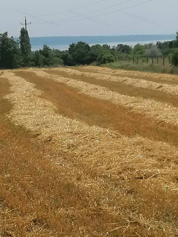 Eladó mezőgazdasági ingatlan Balatonkenese 2090 nm