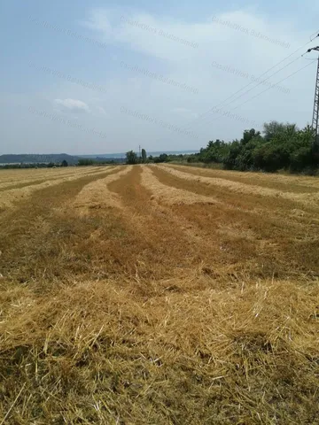 Eladó mezőgazdasági ingatlan Balatonkenese 2090 nm