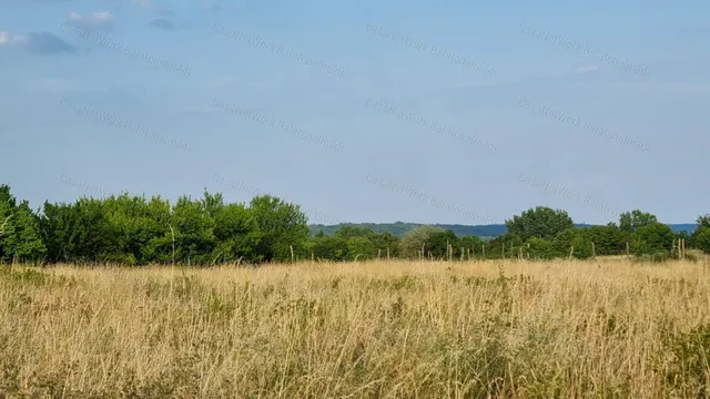 Eladó mezőgazdasági ingatlan Balatonalmádi 396 nm