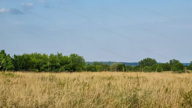 Eladó mezőgazdasági ingatlan Balatonalmádi 396 nm