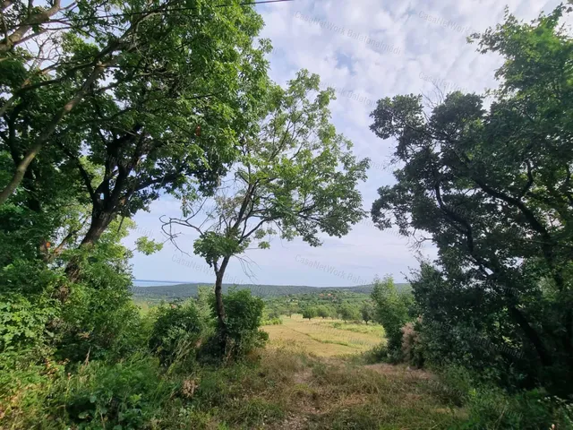 Eladó mezőgazdasági ingatlan Balatonalmádi 1620 nm