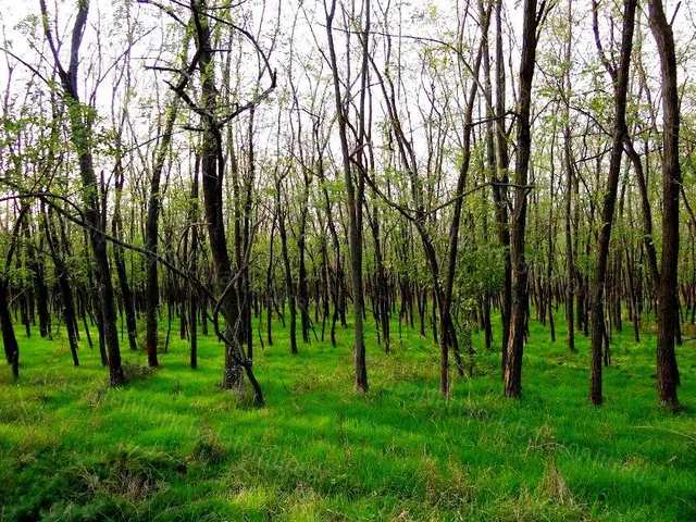 Eladó mezőgazdasági ingatlan Balatonrendes 120430 nm