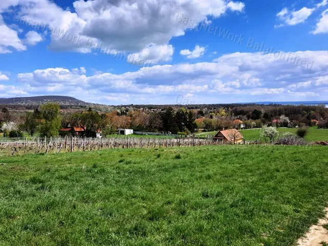 Eladó mezőgazdasági ingatlan Balatonrendes 3407 nm