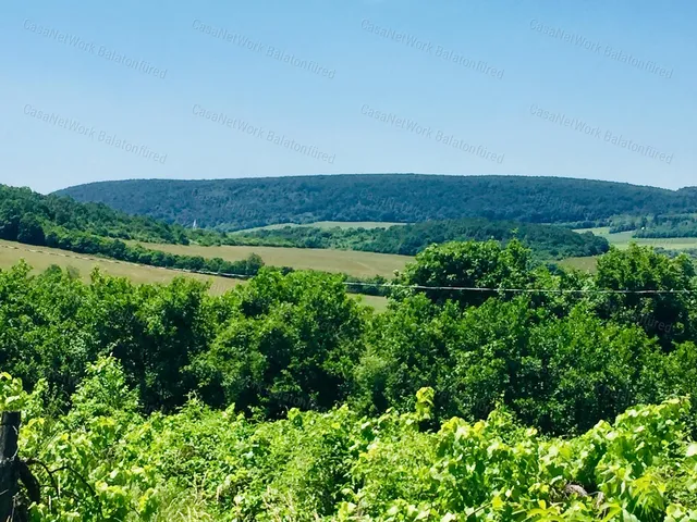 Eladó mezőgazdasági ingatlan Balatoncsicsó 4583 nm