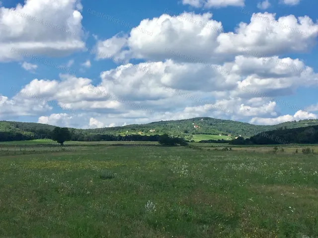 Eladó mezőgazdasági ingatlan Balatonszőlős 74212 nm