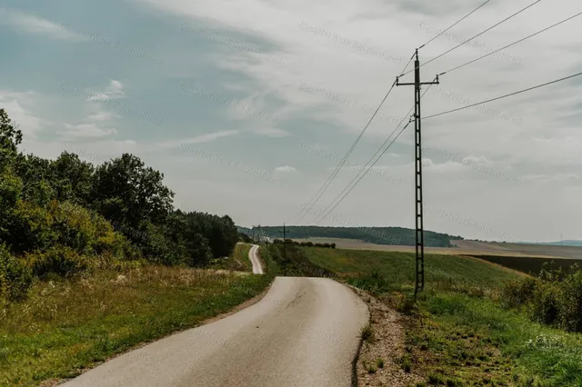 Eladó mezőgazdasági ingatlan Balatonszőlős 4761 nm