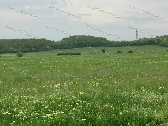 Eladó mezőgazdasági ingatlan Balatonszőlős 4444 nm