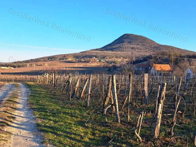 Eladó mezőgazdasági ingatlan Nemesgulács 3261 nm