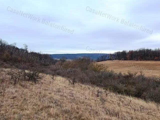 Eladó mezőgazdasági ingatlan Balatonalmádi 1905 nm