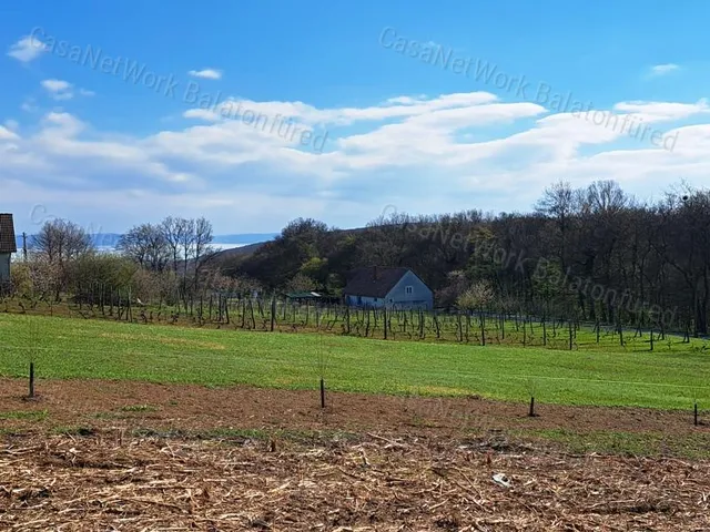 Eladó mezőgazdasági ingatlan Mencshely 1625 nm