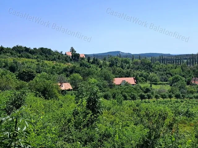 Eladó mezőgazdasági ingatlan Pécsely 3630 nm